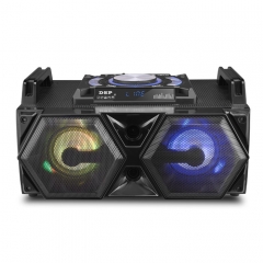 Dual 12Inch  party speaker