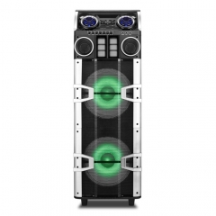 Dual 12Inch  party speaker