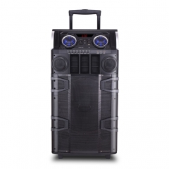 Dual 12Inch  party speaker