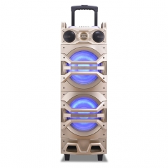 Dual 12Inch  party speaker