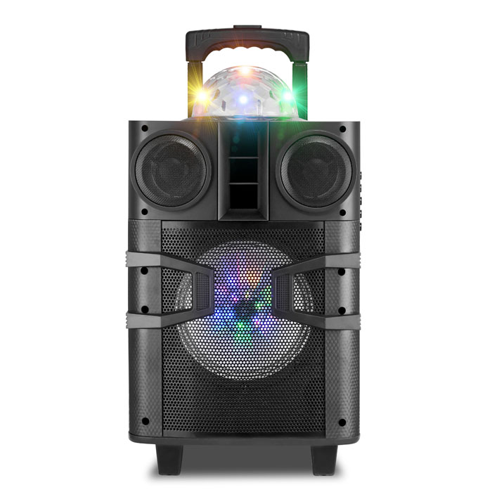 Dual 12Inch  party speaker