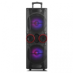 Dual 12Inch  party speaker