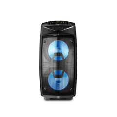 Dual 12Inch  party speaker