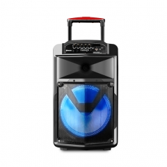 New Model Bluetooth Trolley Speaker