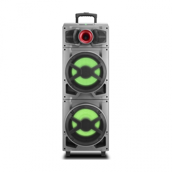 Dual 12Inch  party speaker