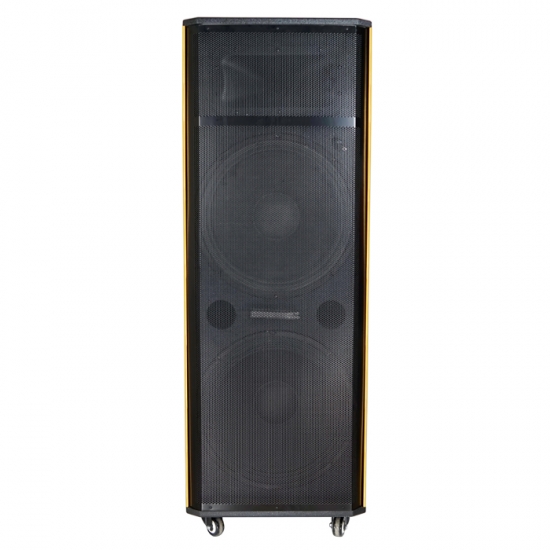 Dual 12Inch  party speaker