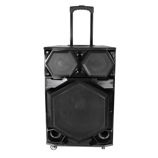 Dual 12Inch  party speaker