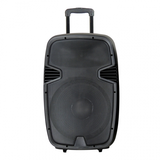 Dual 12Inch  party speaker