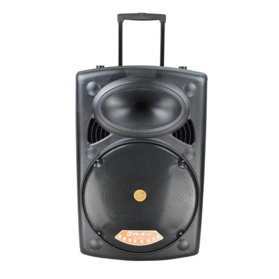 Dual 12Inch  party speaker