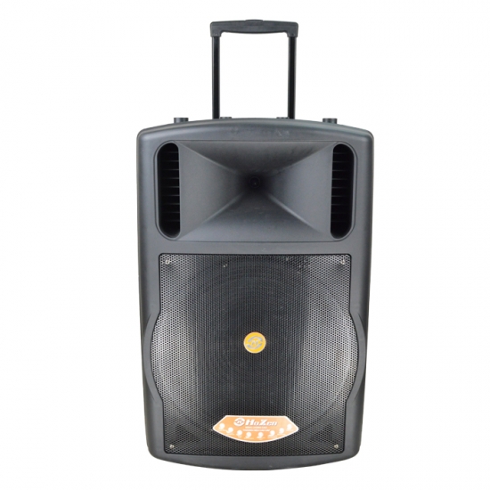 Dual 12Inch  party speaker