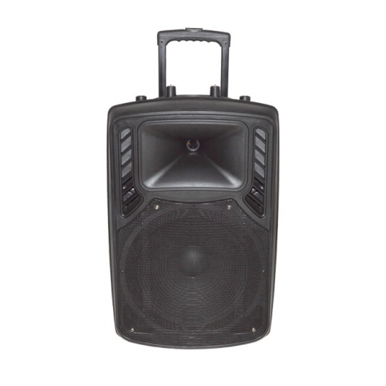 Dual 12Inch  party speaker