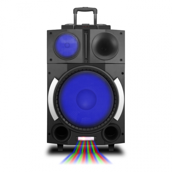 Dual 12Inch  party speaker