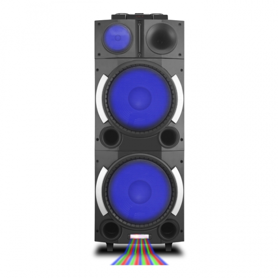 Dual 12Inch  party speaker