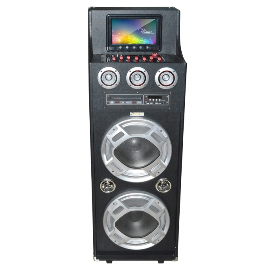 Dual 12Inch  party speaker