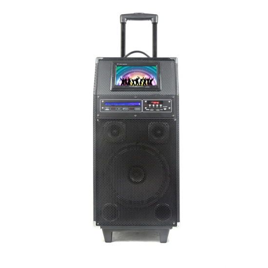 Dual 12Inch  party speaker