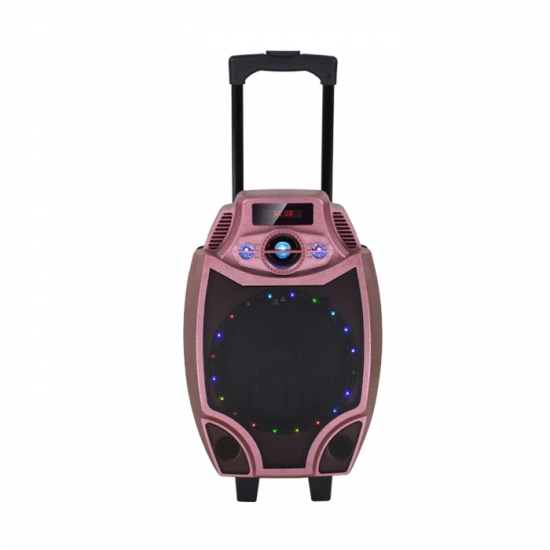 New Model Bluetooth Trolley Speaker