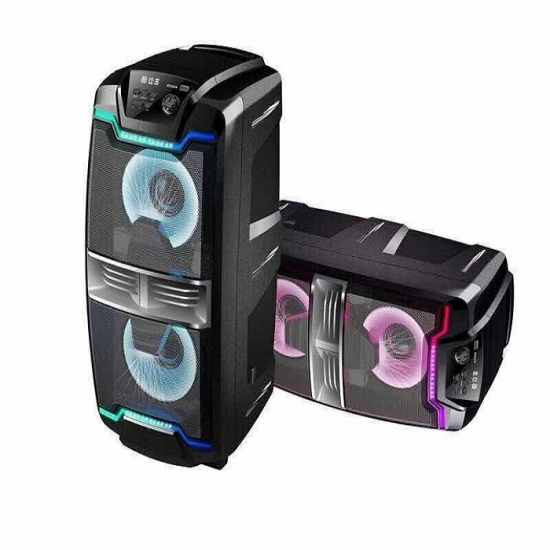 Dual 12Inch  party speaker