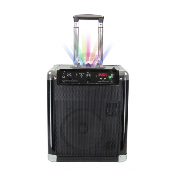 Dual 12Inch  party speaker