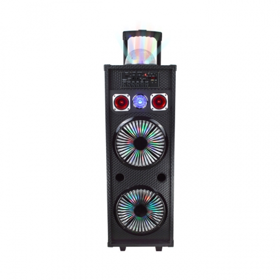 Dual 12Inch  party speaker