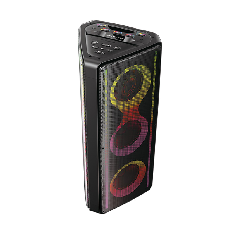 Dual 12Inch  party speaker