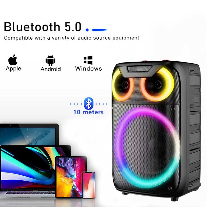 Dual 12Inch  party speaker