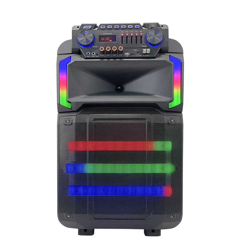 Dual 12Inch  party speaker