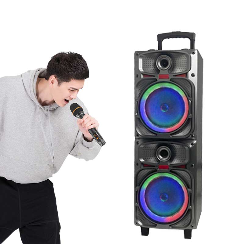 Dual 12Inch  party speaker