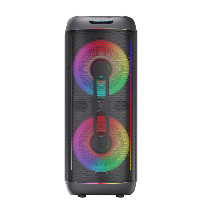 Dual 12Inch  party speaker