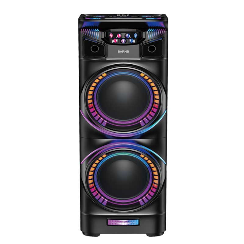 Dual 12Inch  party speaker