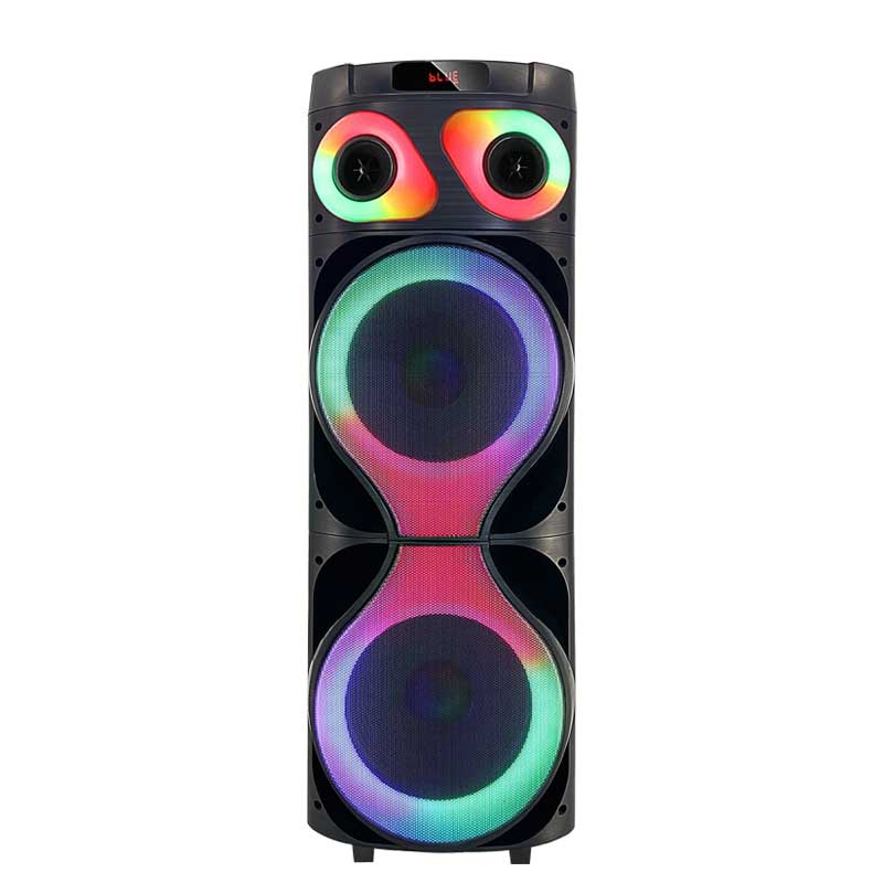 Dual 12Inch  party speaker