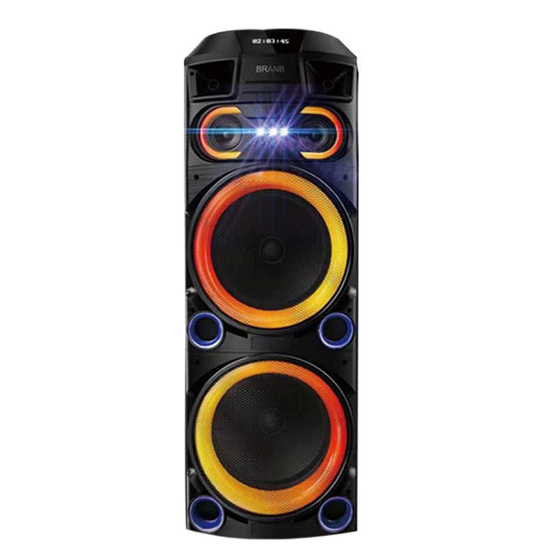 Dual 12Inch  party speaker