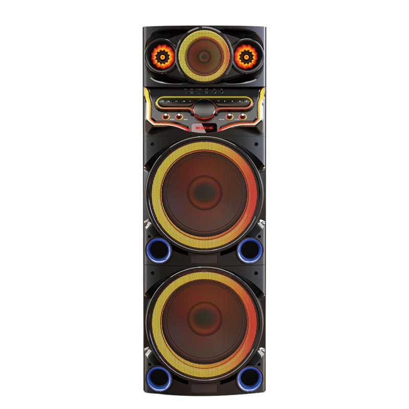 Dual 12Inch  party speaker