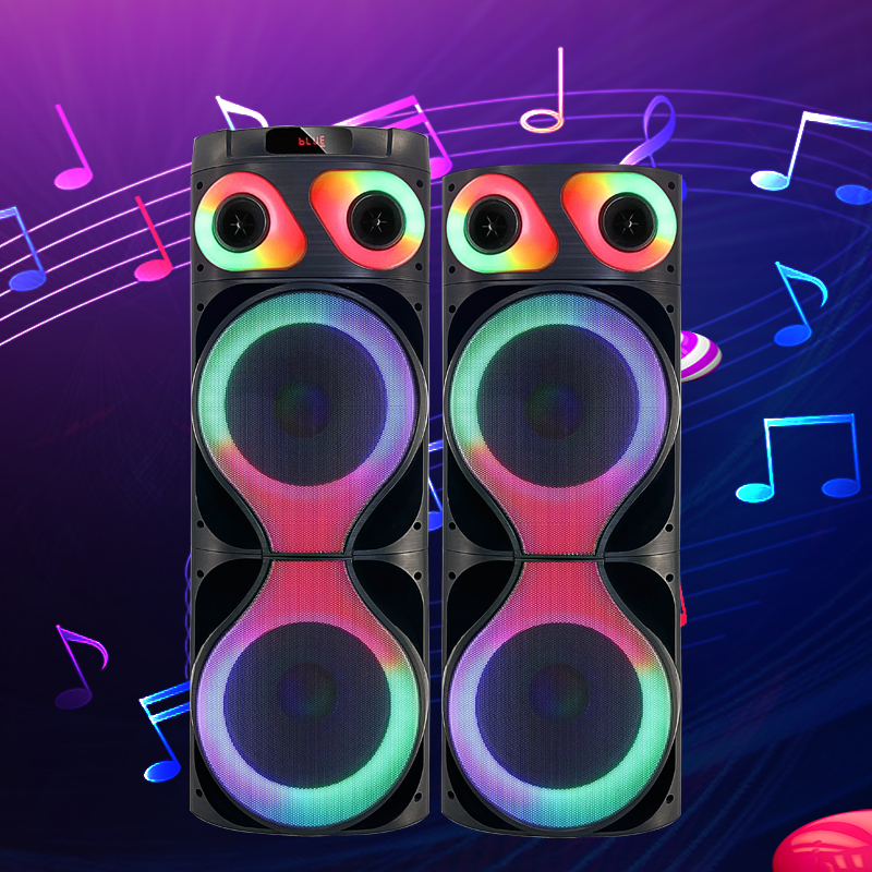 Dual 12Inch  party speaker