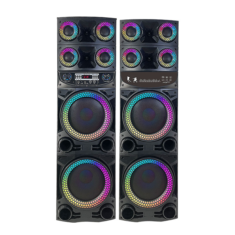 Dual 12Inch  party speaker