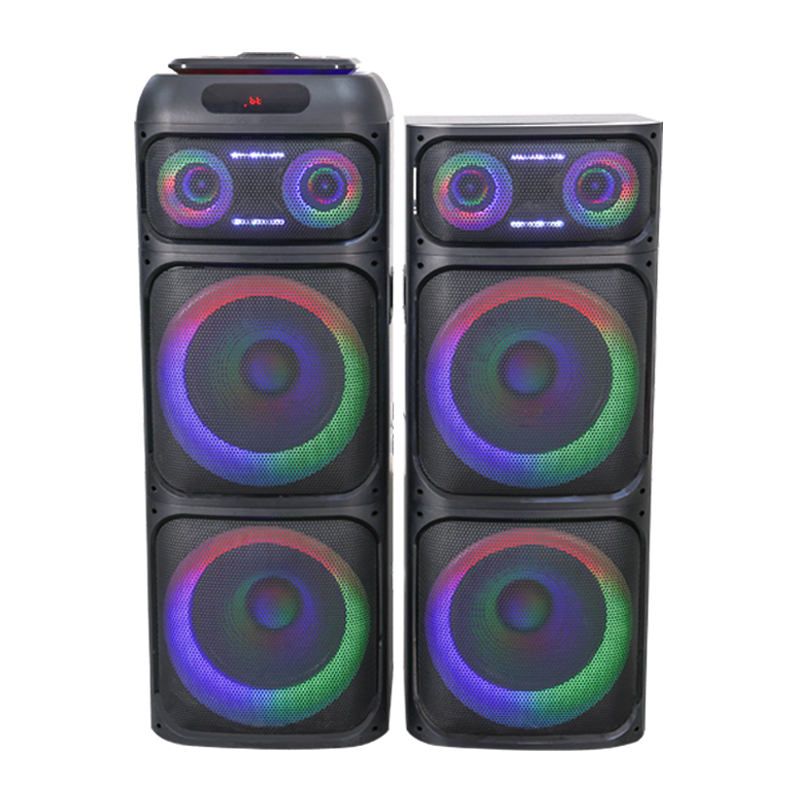 Dual 12Inch  party speaker