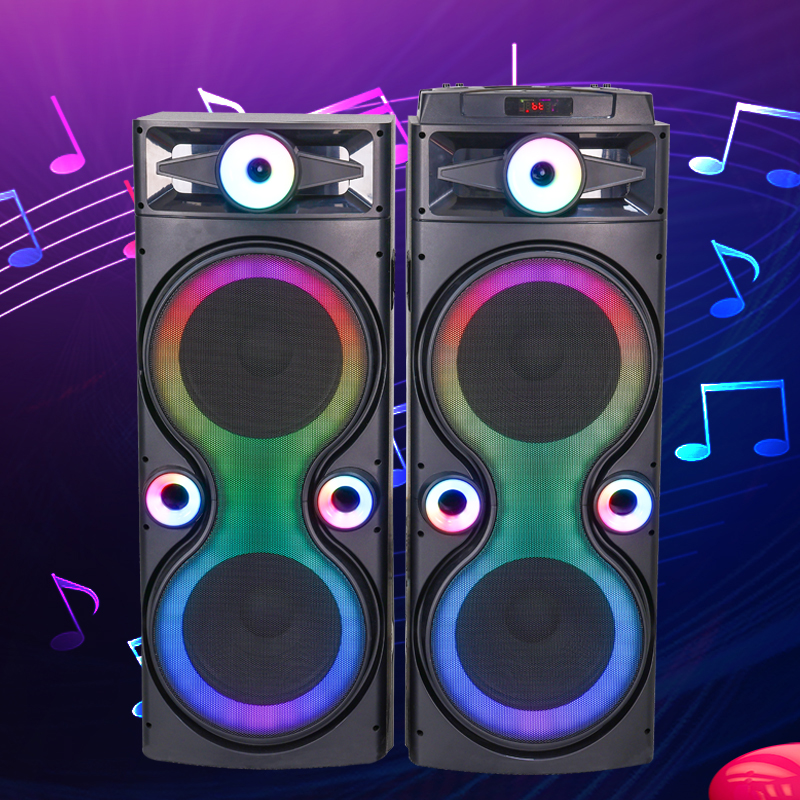 Dual 12Inch  party speaker