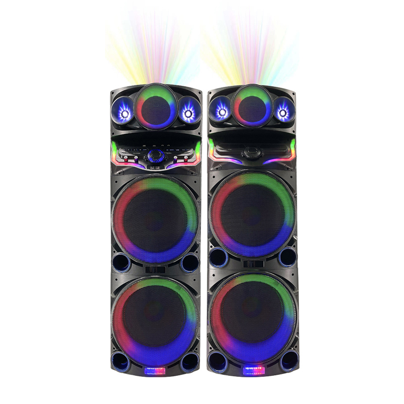 Dual 12Inch  party speaker