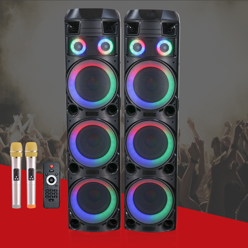 Dual 12Inch  party speaker