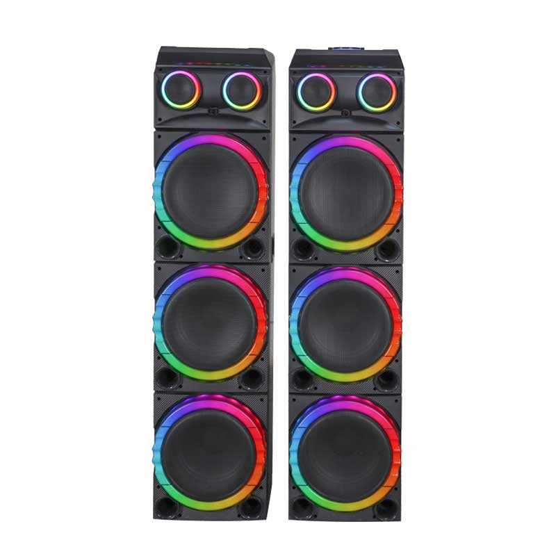 Dual 12Inch  party speaker