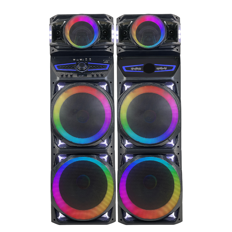 Dual 12Inch  party speaker