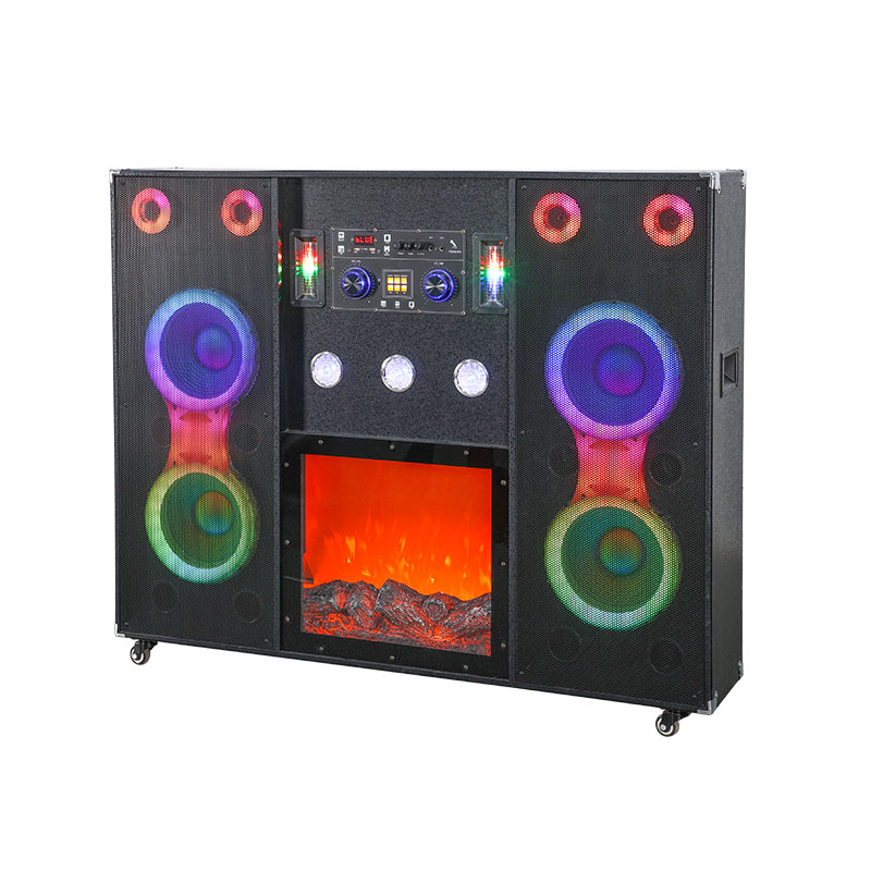 Dual 12Inch  party speaker