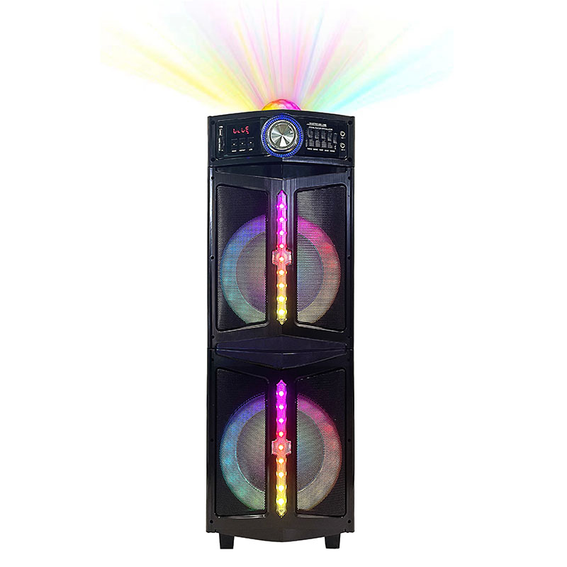 Dual 12Inch  party speaker